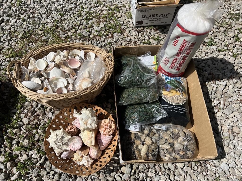 Shells, Stones etc.