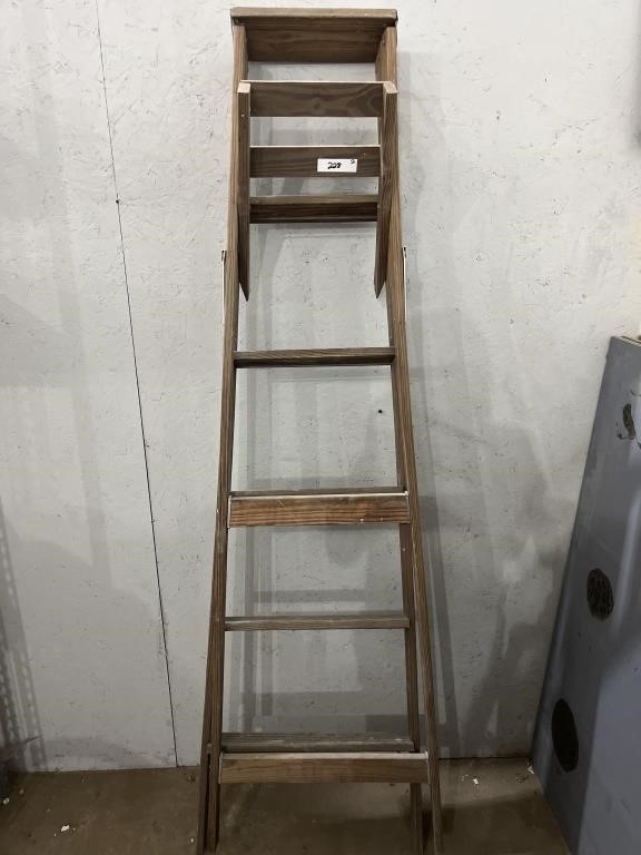 Wooden Ladder