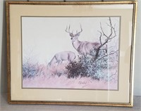 Deer Lithograph Print - Signed Guy Coheleach