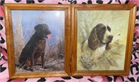 (2) Vintage 8 x 10 Dog Prints:  Lab and Spaniel