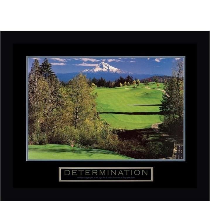 $102.00 Determination - Golf by Frontline -