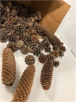 Pinecones. For decorating or the fireplace