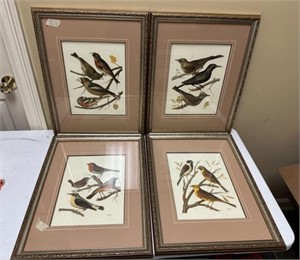 Four Framed Color Bird Prints by W. Rutledge