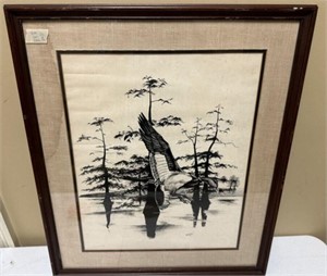 Framed Sketch Print of Mallard
