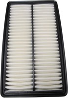 (N) EcoGard XA10222 Air Filter