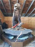 Life-Size Grizzly Bear Mount with Salmon Display