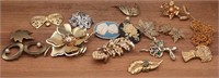 Brooches, Cameos, Novelty+