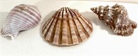 Lot of 3 Seashell Candles