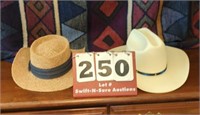 Stetson Hat 7-1/4 and Straw Hat
