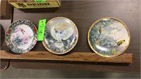 Bird collector plates and wood display