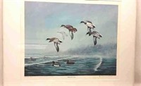 Mallards Over Decoys Painting Print