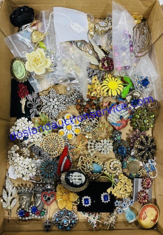Lot of Brooches, Etc..