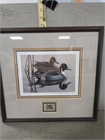 1983 / 1984 Duck Print