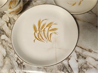 Vintage Golden Wheat China-1 Glass Broken