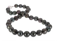 Scarce Black Tahitian Pearl 14K Necklace
