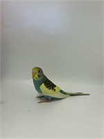 Unsexed- Baby Budgie