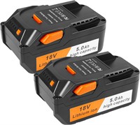 ARyee 2 Pack Replacement Battery