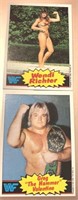 1985 Topps WWF Wendi Richter / Greg Valentine Card