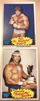 1985 Topps WWE Cards #5 and 6 - Orndorf and Snuka