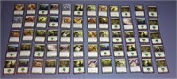 60 Green Magic The Gathering Cards