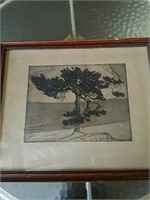 Drawing of a cypress tree