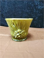Green brush plantar approx 6 inches tall