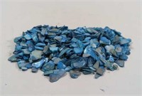 Decorative Blue Sea Shells Shell Decor Or Crafts