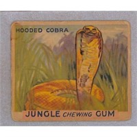 1933 Jungle Gum Hooded Cobra Card