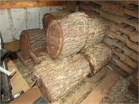 all logs