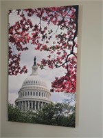 US Capital building on canvas
