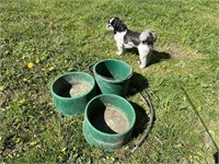 Three Heated Water Dishes, puppy dog not incl.