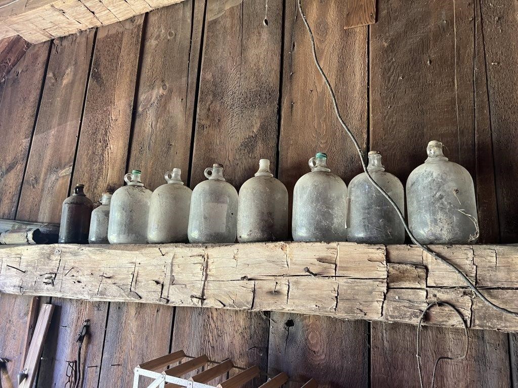 Lot of Nine Glass Jugs, mostly Gallons