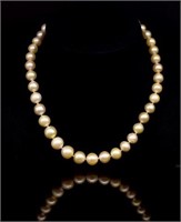 Golden South sea pearl necklace