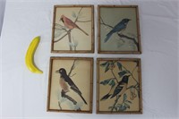 Vintage Bird Art with Bamboo Style Frames