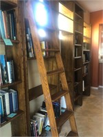 Bookshelf with a ladder #112
