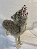 Coyote Statue made with real rabbit fur 15"