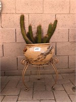 Terra Cotta Planter / Cactus