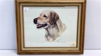 ‘Mandy’ dog print, #231/700, Jack R Schroeder