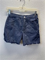 Vintage Dark Wash Cutoff Jean Shorts