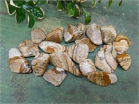 PICTURE JASPER ROCK STONE LAPIDARY SPECIMEN