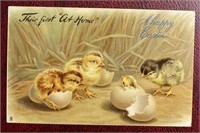 Antique Their First At Home PPC Postcard