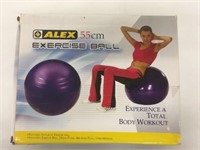 Alex 55cm Exercise Ball