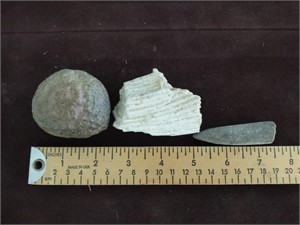 Colombianite Stone, Petrified Wood & Belemnite