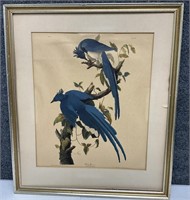 John J Audubon Print