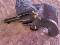Ruger 22 Cal Revolver Wrangler