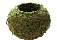 New, 2pcs, Moss Ball Flower Pot, 6 Inch Bird Nest