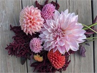 6 Weeks of Dahlia Bouquets, provided by Kate