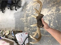 ANTLER DECOR