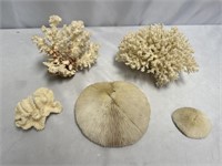 BEAUTIFUL DECORATIVE CORALS!! CAUTION: THESE ARE