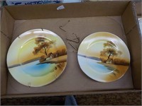 2 Noritake plates